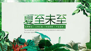 Die Sommersonnenwende ist noch nicht angekommen Thema Planung Verteidigungsbericht PPT-Vorlage