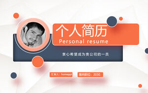 CV personnel de style simple (4) Modèle PPT