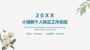 Küçük taze kişisel dönüşüm çalışması özet raporu PPT şablonu