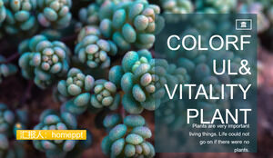 小さな新鮮な多肉植物の作業報告書PPTテンプレート