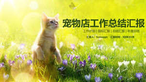Modello PPT del rapporto di riepilogo del lavoro del piccolo negozio di animali freschi
