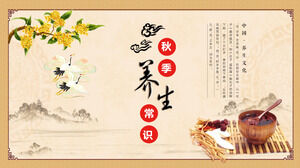 TCM 요법 지식의 PPT 템플릿