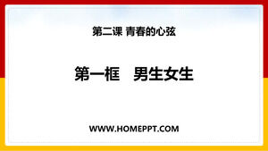 Template PPT untuk courseware "Dua Anak Laki-laki dan Perempuan", moral dan supremasi hukum, Volume 2, Kelas 7, Pers Pendidikan Rakyat