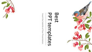 Șabloane PowerPoint minimaliste pentru flori și păsări