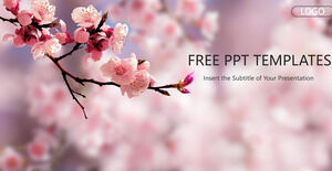 Pembe Şeftali Arka Plan İş PowerPoint Şablonları