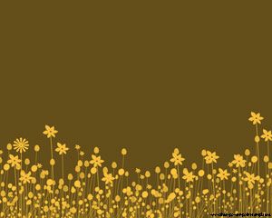 布鲁姆花园简报