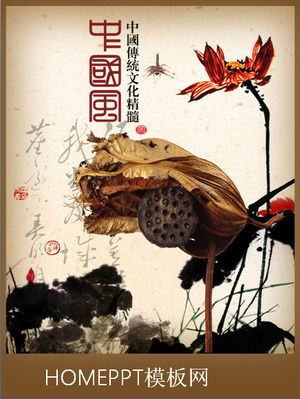 19 belo molde do fundo PPT vento chinês