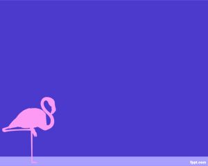 Flamingo PowerPoint Şablonu