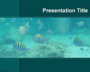 Aquarium Powerpoint-Vorlage