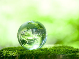 물 4 방울 진주 PPT 배경 그림 방울