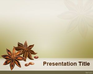 Modello di anice stellato PowerPoint