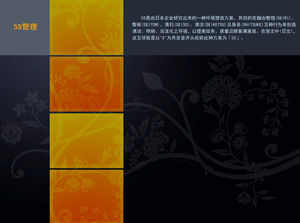 5S企业管理培训