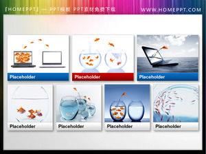 Un grup de mici afaceri mici PPT pește mic hartă descărcare materiale