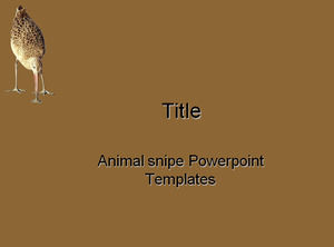 Animal snipe Powerpoint Templates
