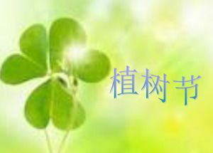 乔木会的ppt PPT模板下载