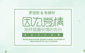 Beautiful small fresh romantic love electronic album wedding commemorative PPT template