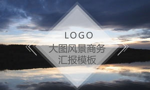 Berichtszusammenfassung des Big Picture Landschaftslandschaftsgeschäfts