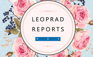 Bird language, small fresh style, PPT summary report