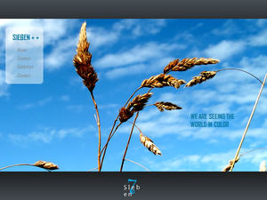 ผลิตภัณฑ์บรรยากาศสีฟ้าแสดงผล PPT แม่แบบ