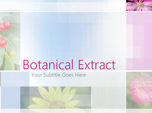 Botanical Extract 