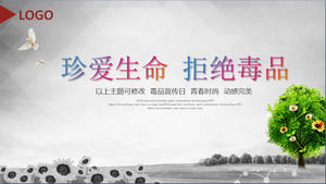 Cherish la vie refuser la drogue, modèle PPT éducation anti-drogue téléchargement gratuit