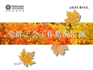 China Mobile Unternehmensbericht PPT herunterladen