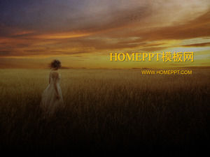 古典美草原PPT模板下载