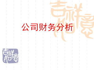 Company Financial Analysis