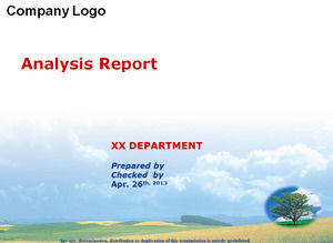 Company Project Report