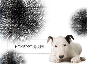 可爱的圆点狗背景PPT模板下载