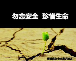 Do not forget the safety and treasure the life - safety awareness training ppt template