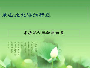 優雅的荷花PPT模板下載