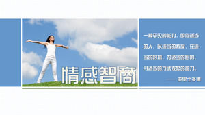 정서적 감정적 견적