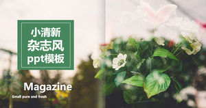 欧美小清新杂志风​​格总结报告PPT模板