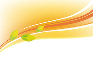 Exquisite leaves PowerPoint background image download