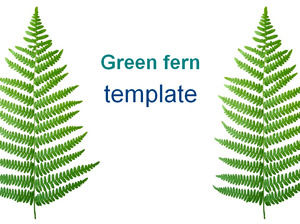 الأوراق الخضراء السرخس