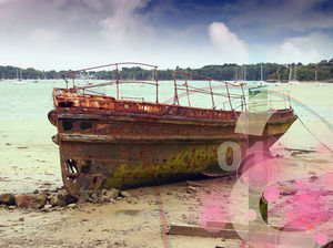 الشريحة الخلفية الصيد