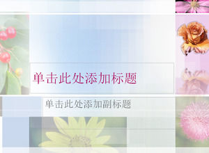 Flowers Slide Animation