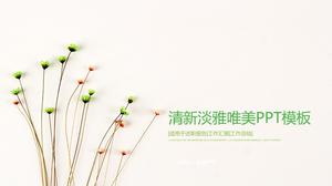 Świeży i elegancki prosty i piękny szablon PPT