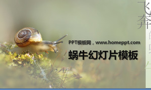 Свежий и элегантный улитка скачать шаблон PowerPoint