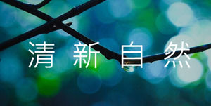 Свежий и натуральный шаблон PPT