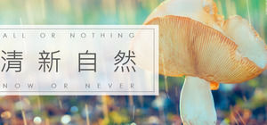 Свежий и натуральный маленький свежий теплый стиль PPT шаблон