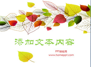 kartun gaya segar dedaunan PPT Template