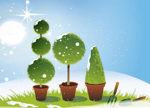 Giardino Disegno durante l'inverno la stagione template powerpoint