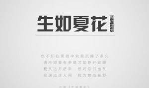 高端创意多彩风格工作报告PPT模板