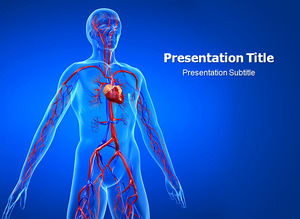 Human artery distribution ppt template