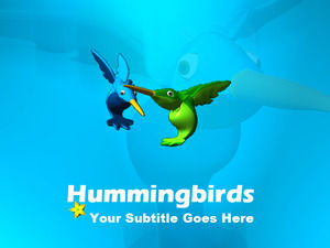 hummingbirds