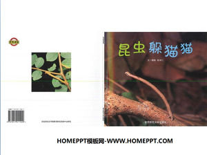 "Los insectos a las escondidas" historia de libro de imágenes