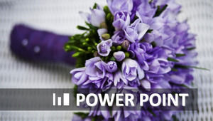 PPT-Vorlage für IOS hellviolette Stilarbeit