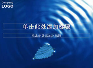 Leaves floating in water